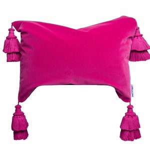 May include: A bright pink velvet pillow with tassels on each corner. The pillow is rectangular and has a subtle sheen. The tassels are made of the same fabric as the pillow and are about 3 inches long.