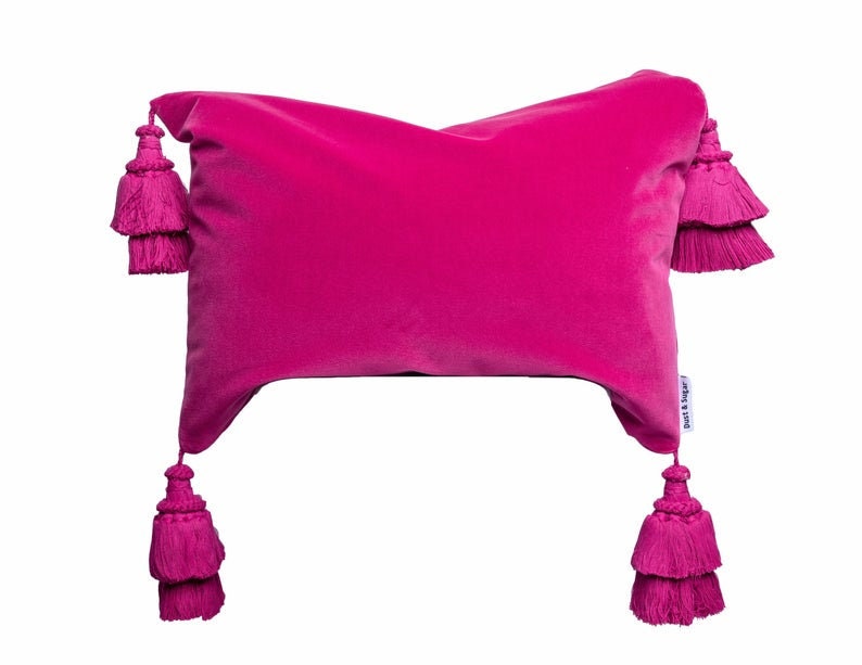 May include: A bright pink velvet pillow with tassels on each corner. The pillow is rectangular and has a subtle sheen. The tassels are made of the same fabric as the pillow and are about 3 inches long.