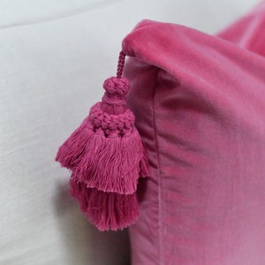 May include: A pink velvet pillow with a pink tassel. The pillow is on a white surface.