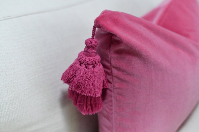 May include: A pink velvet pillow with a pink tassel. The pillow is on a white surface.