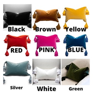 May include: Nine velvet throw pillows with tassels in various colors, including black, brown, yellow, red, pink, blue, silver, white, and green.