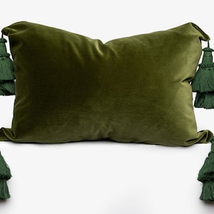 May include: A green velvet pillow with four large green tassels. The pillow is rectangular and has a smooth, soft texture.