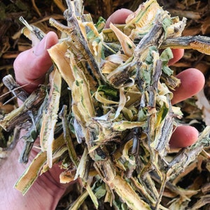 Ocotillo Bark (Dried) - Fouqieria splendens - Restoratively Wildcrafted