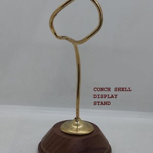 Puede incluir: Un soporte de exhibición para conchas con una base de madera oscura y un tallo de latón. El tallo se curva hacia arriba para formar un bucle. El texto "CONCH SHELL DISPLAY STAND" está impreso a la derecha.