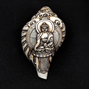 Puede incluir: Una concha de caracol blanco con una imagen tallada de un Buda sentado. La concha tiene detalles intrincados y una pátina marrón.