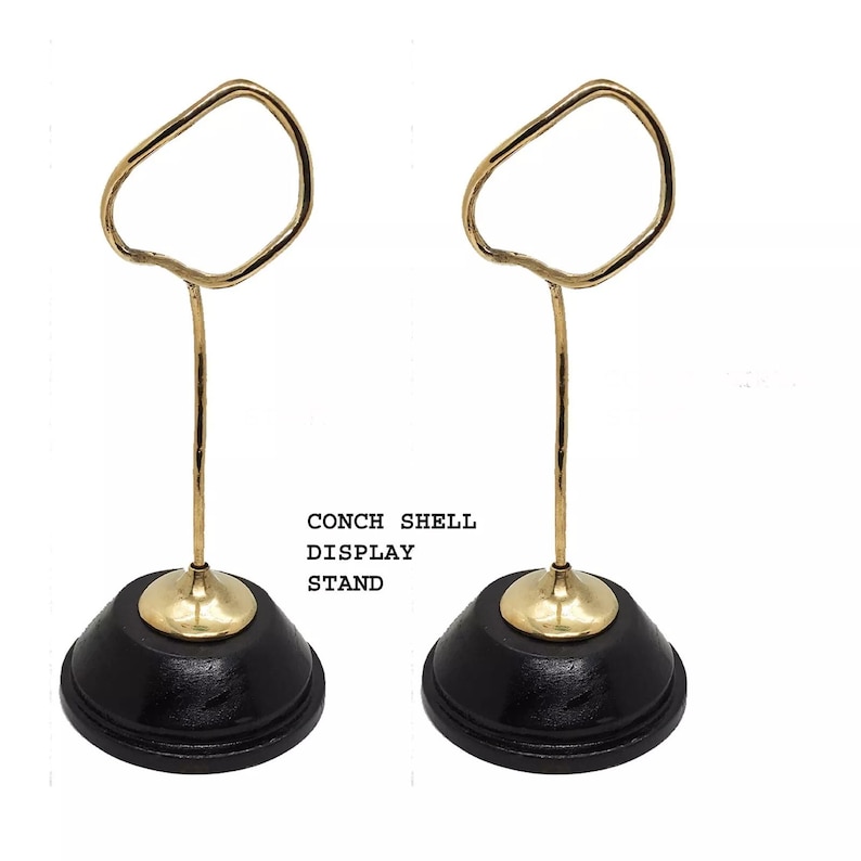 2 Pcs of Conch Shell Display Stand Conch Shell Brass Stand Wooden Base ...