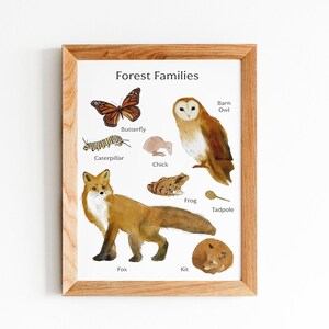 Cartel imprimible de bebés animales del bosque - Ilustraciones en acuarela - Arte de pared de animales del bosque - Descarga digital imagen 1