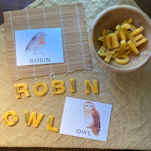 Nature Spelling Flash Cards - Preschool Educational Resources - Printable Homeschool