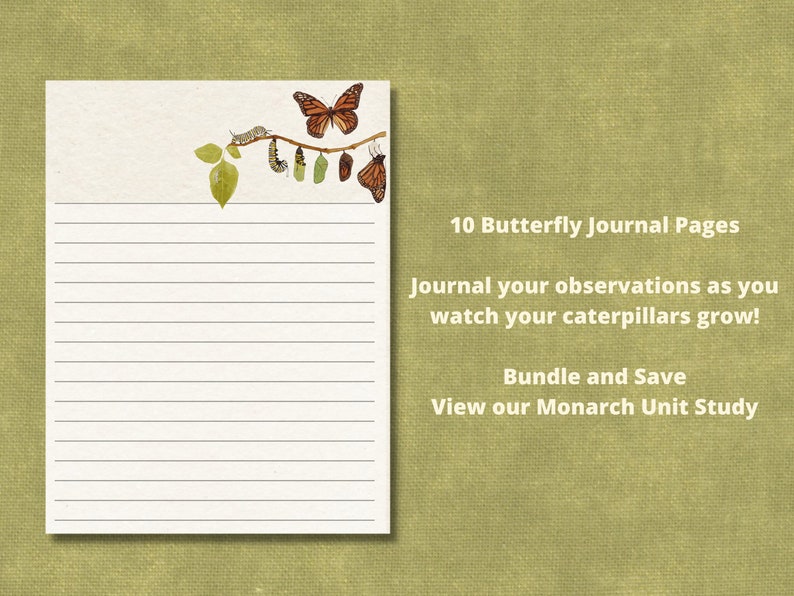 Butterfly Life Cycle Journal Pages Blank Stationary Printables Nature Journal Etsy