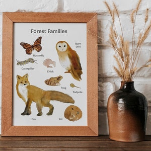 Cartel imprimible de bebés animales del bosque - Ilustraciones en acuarela - Arte de pared de animales del bosque - Descarga digital imagen 3