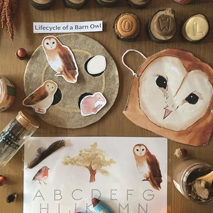 Barn Owl Study - Nature Homeschool Curriculum - Printable Nature Unit Study
