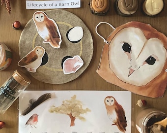 Puede incluir: Un tablero de fieltro marrón con un recorte de un búho de granero. El tablero tiene un búho de fieltro marrón con una cara blanca y ojos amarillos. También hay recortes de un búho bebé, un ratón y un pájaro. El tablero está rodeado de letras de madera que deletrean "BARN OWL". También hay otros artículos en la mesa, incluyendo un frasco de plastilina, un frasco de polvo marrón, una cuchara de madera, una pequeña calabaza y una pluma.