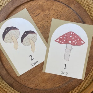 Cartes de nombre de champignons - Étude d'unité de champignon - Nature Preschool Downloadable Printables