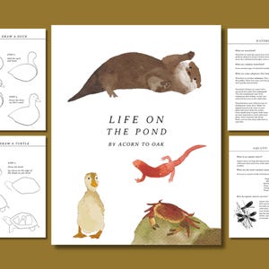 Life On The Pond - Pond Nature Study - PDF