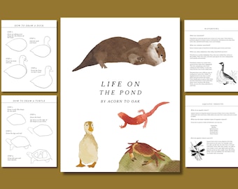 Life On The Pond - Pond Nature Study - PDF