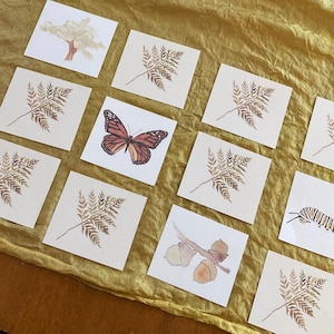 Nature Memory Game - Nature Activities - Printable Games