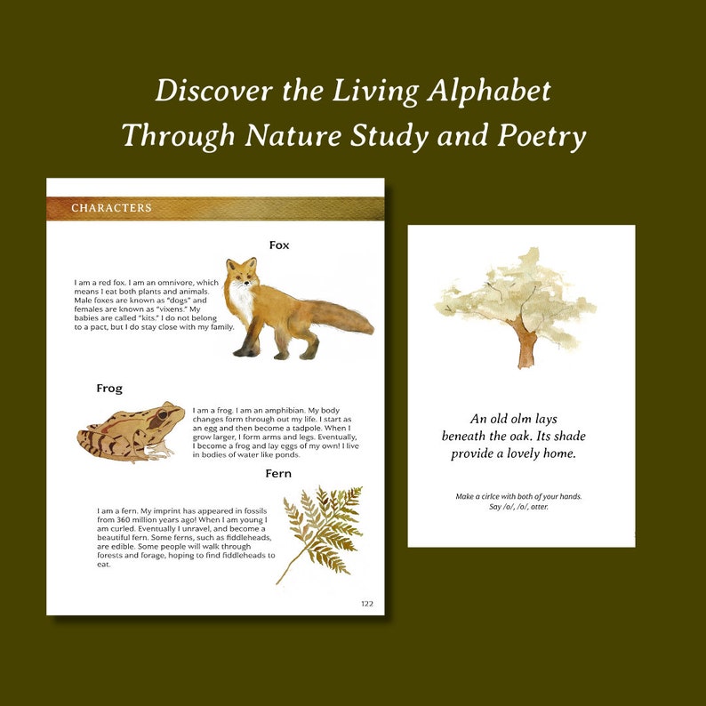 Alphabet Forest: Nature Based Early Learning Reading and Phonics Curriculum Preschool and Kindergarten Curriculum Digital Download image 4