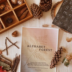 Alphabet Forest: Nature Based Early Learning Reading and Phonics Curriculum Preschool and Kindergarten Curriculum Digital Download image 1