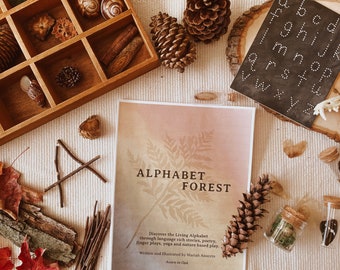 Alphabet Forest: Nature Based Early Learning Reading and Phonics Curriculum - Preschool and Kindergarten Curriculum - Digital Download