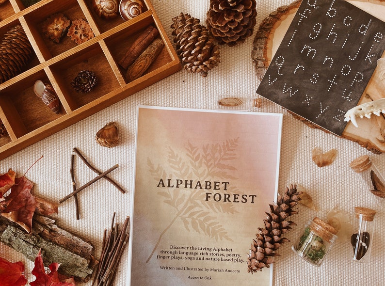 Puede incluir: Un libro titulado "Alphabet Forest" con una ilustraci&oacute;n de helecho en la portada. El libro est&aacute; rodeado de elementos naturales como pi&ntilde;as, ramitas y hojas. El texto en la portada dice "Discover the Living Alphabet through language rich stories, poetry, finger plays, yoga and nature based play. Written and Illustrated by Mariah Anoceto Acorn to Oak."