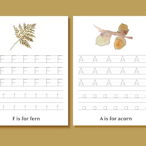 Hojas de trabajo de rastreo de letras - Ilustraciones del alfabeto de la naturaleza - Práctica de escritura a mano preescolar - ABC