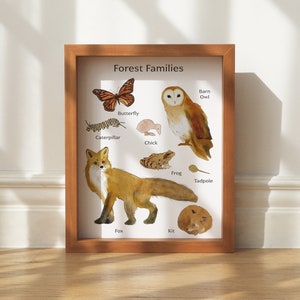 Cartel imprimible de bebés animales del bosque - Ilustraciones en acuarela - Arte de pared de animales del bosque - Descarga digital imagen 2