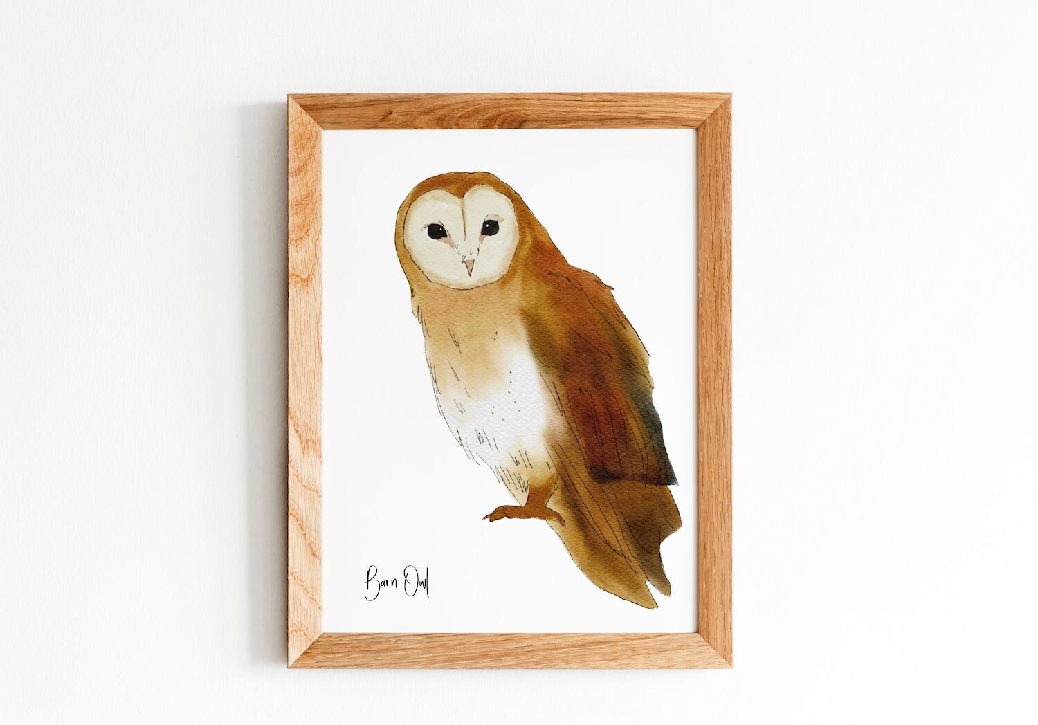 Barn Owl Digital Poster - Nature Watercolor Illustration Poster - Classroom Decor - Printable Wall