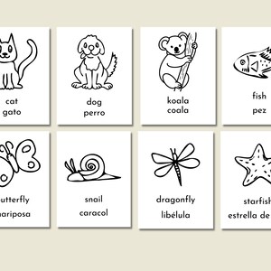 Pode incluir: Ilustra&ccedil;&otilde;es em preto e branco de v&aacute;rios animais e insetos com seus nomes em ingl&ecirc;s e espanhol. Os animais incluem um gato, um c&atilde;o, um coala, um peixe, uma borboleta, um caracol, uma lib&eacute;lula e uma estrela do mar.
