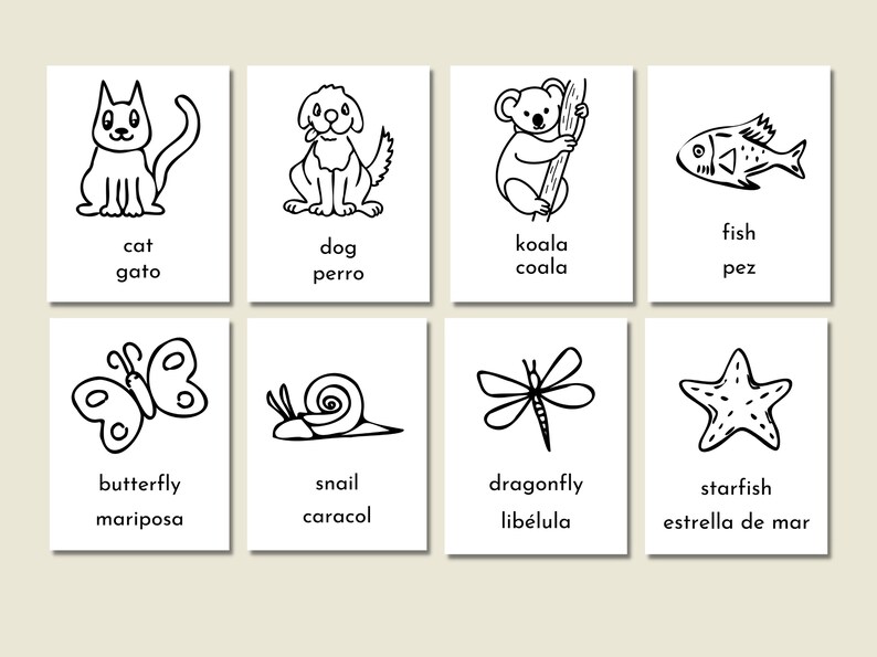 Pode incluir: Ilustra&ccedil;&otilde;es em preto e branco de v&aacute;rios animais e insetos com seus nomes em ingl&ecirc;s e espanhol. Os animais incluem um gato, um c&atilde;o, um coala, um peixe, uma borboleta, um caracol, uma lib&eacute;lula e uma estrela do mar.