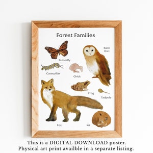 Cartel imprimible de bebés animales del bosque - Ilustraciones en acuarela - Arte de pared de animales del bosque - Descarga digital imagen 4