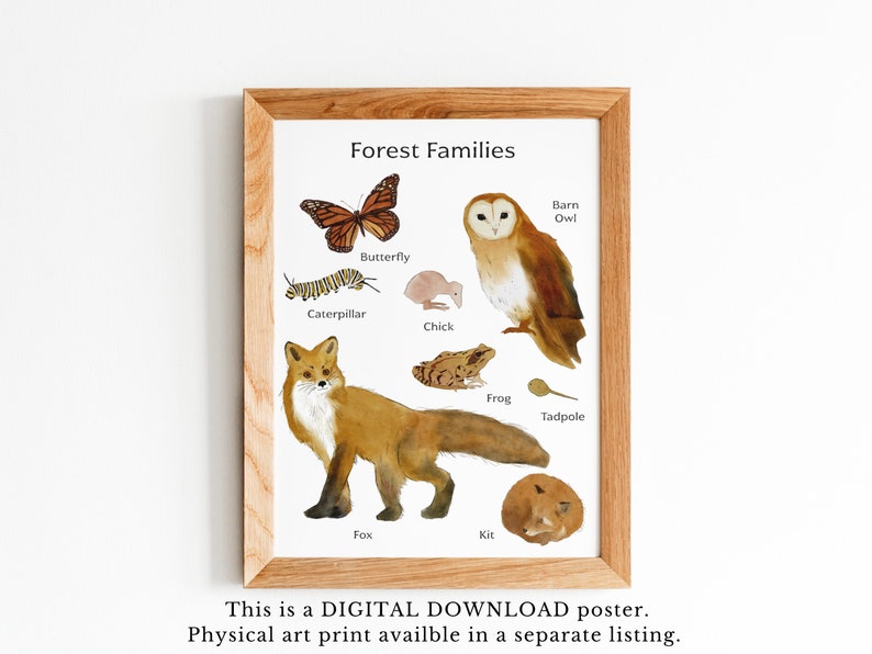 Cartel imprimible de bebés animales del bosque - Ilustraciones en acuarela - Arte de pared de animales del bosque - Descarga digital imagen 4