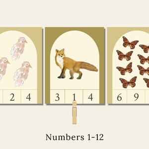 Animal Baby Number Clip Cards - Forest Families Series - Nature Education