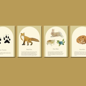 Fox Flash Cards - Fox Unit Study - Nature Education Printables - Watercolor Illustrations