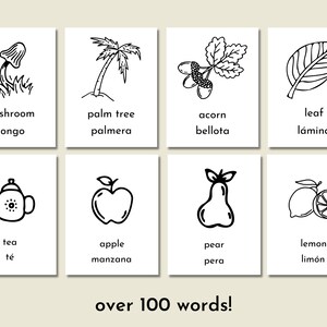 Pode incluir: Ilustra&ccedil;&otilde;es em preto e branco de v&aacute;rios objetos com r&oacute;tulos em ingl&ecirc;s e espanhol. Os objetos incluem um cogumelo, uma palmeira, uma bolota, uma folha, um bule de ch&aacute;, uma ma&ccedil;&atilde;, uma p&ecirc;ra e um lim&atilde;o.