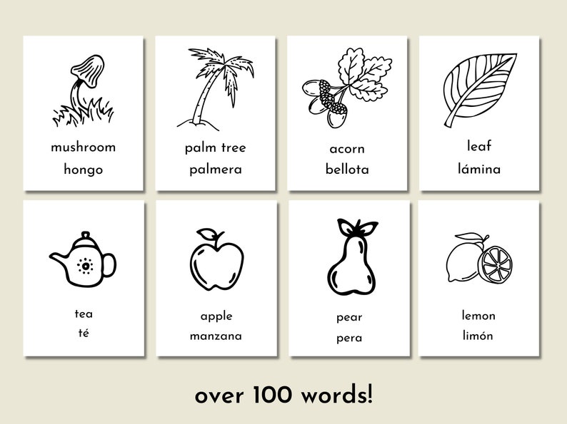 Pode incluir: Ilustra&ccedil;&otilde;es em preto e branco de v&aacute;rios objetos com r&oacute;tulos em ingl&ecirc;s e espanhol. Os objetos incluem um cogumelo, uma palmeira, uma bolota, uma folha, um bule de ch&aacute;, uma ma&ccedil;&atilde;, uma p&ecirc;ra e um lim&atilde;o.