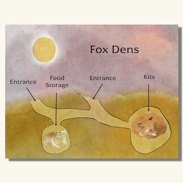 Fox Dens - Fox Unit Study - Watercolor Nature Education Printable Resources