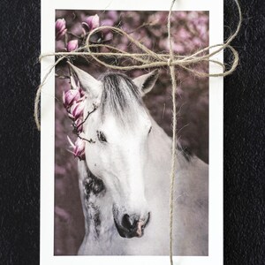 Cartes postales photographiques