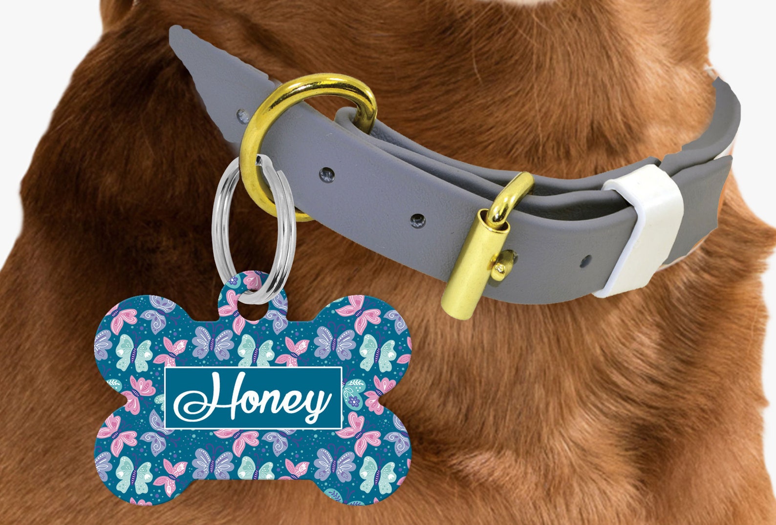 21+ Unique Dog Tags From Australian Creatives Dogs of Australia