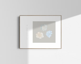 Botanical Illustration Giclee Print - Symbiosis | Lichen | A3 - 29.7x42cm | Limited Edition of 80