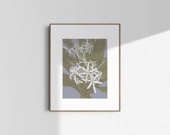 Botanical Illustration Giclee Print - Crinum pedunculatum / A3 -29.7x42cm / Limited Edition of 5o