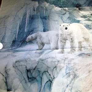 Op de afbeelding: Digitaal geschilderde afbeelding van twee ijsberen in een besneeuwd, ijzig landschap. De beren zijn wit met dikke vacht, staand op een met sneeuw bedekt oppervlak. De achtergrond toont ijzige kliffen en een blauw getinte lucht, waardoor een koude, arctische scène ontstaat.