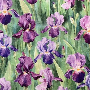 May include: A watercolour floral pattern featuring irises in shades of purple, lavender, and magenta. The flowers are set against a backdrop of green foliage and a teal-coloured background. The design is a repeating pattern.