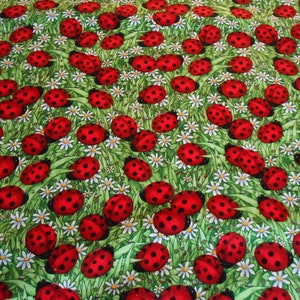 Coccinella Margherita Prato Primavera 50 x 110 cm Tessuto Patchwork di Cotone Senza Tempo