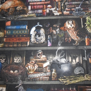 Libri Libreria Gufo Strega Rospo Tessuto patchwork di cotone senza tempo 50 x 110 cm