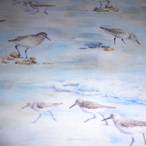 Könnte beinhalten: Ein Aquarellbild einer Strandszene mit mehreren Strandläufern auf hellblauem Hintergrund. Die Vögel sind in verschiedenen Posen dargestellt, einige stehen, einige gehen und einige fliegen. Das Bild ist eine sanfte und zarte Darstellung einer friedlichen Strandszene.