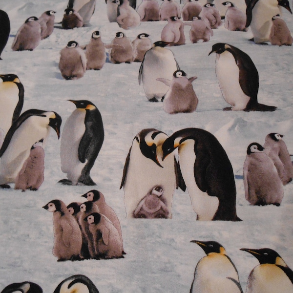 Pinguine Königspinguine Elisabeth Studios Baumwolle Patchworkstoff 50x110 cm