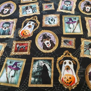 Può includere: Un tessuto nero con un motivo ripetuto di cornici dorate. Ogni cornice contiene un'immagine diversa di un cane a tema Halloween. Alcuni cani sono vestiti con costumi, mentre altri sono circondati da elementi spettrali come pipistrelli, ragni e case stregate.