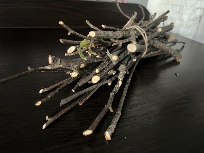 30 Rowan Branches, Dried Branches, Rowan Twigs, Rowan Wood, Shamanic ...