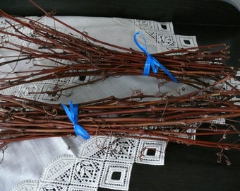 May include: Bundles of dried, brown grapevine cuttings tied with bright blue ribbons. The cuttings are arranged on a white, lace-trimmed cloth, creating a rustic and natural aesthetic. Ideal for crafting or decorative purposes.