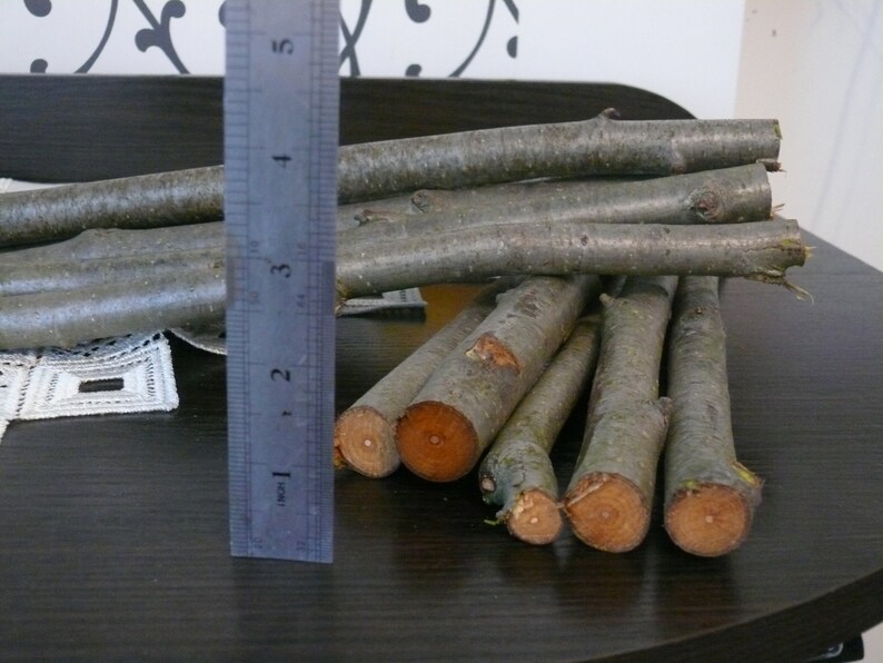 Rowan Branches Rowan Twigs Rowan Wood Shamanic Supply Etsy Canada